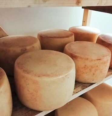 459186673_366101226577306_7831788863464604050_n