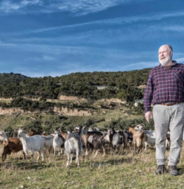 Screenshot 2025-01-03 alle 12.15.22