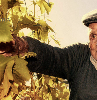 Screenshot 2025-01-08 alle 12.04.33