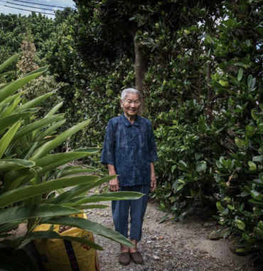 Screenshot 2025-01-13 alle 17.59.59